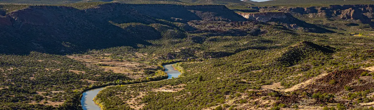 Nonprofit Training Program